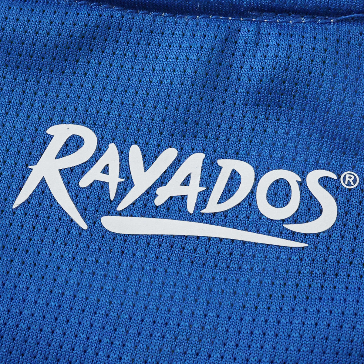 Monterrey Tercera Authentic Player Camiseta 2025/26