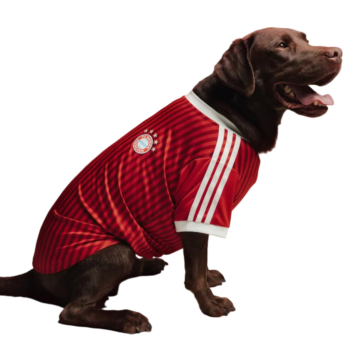 Bayern Munich Pet 26/27