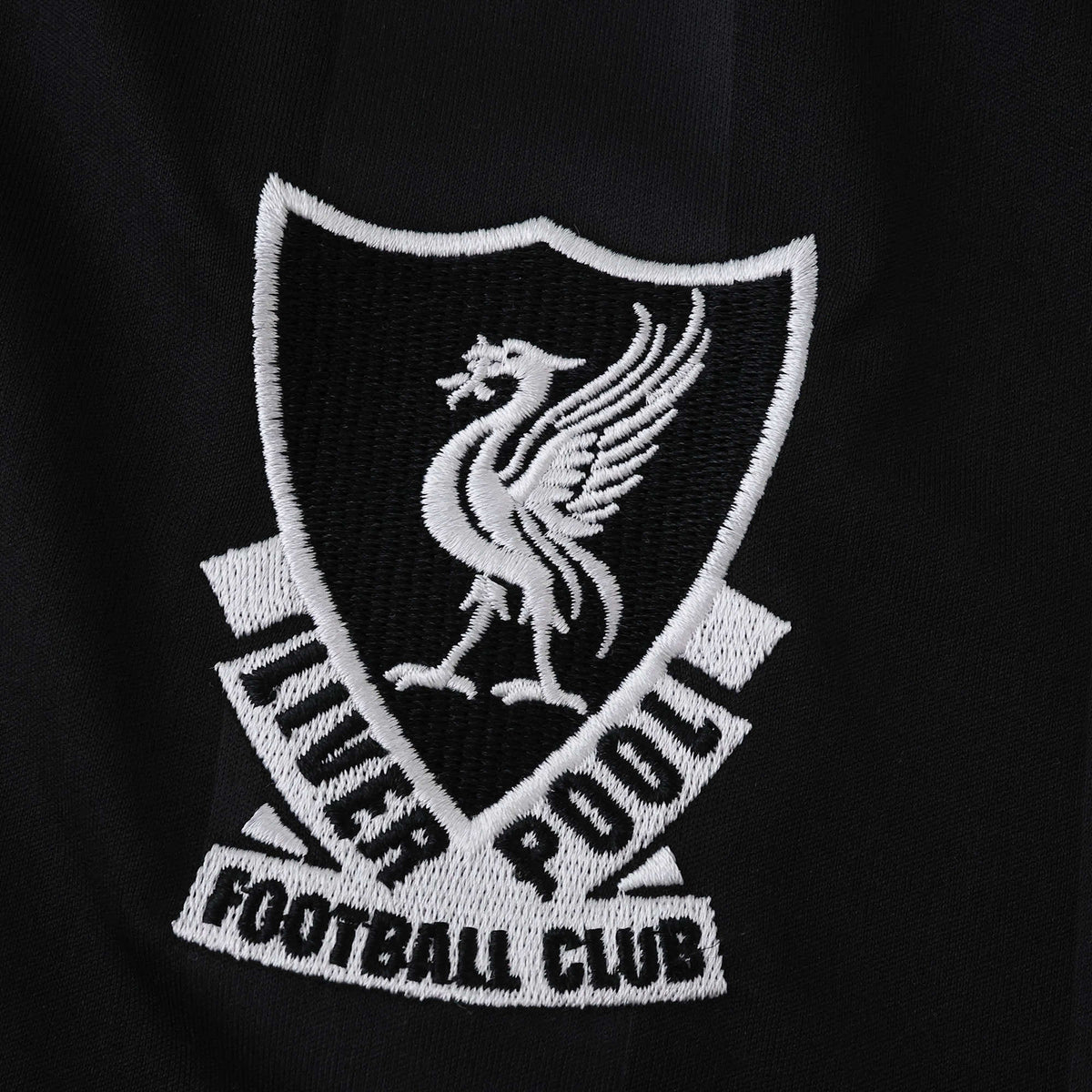 Camiseta Iiverpool Portero 25/26 Hombre