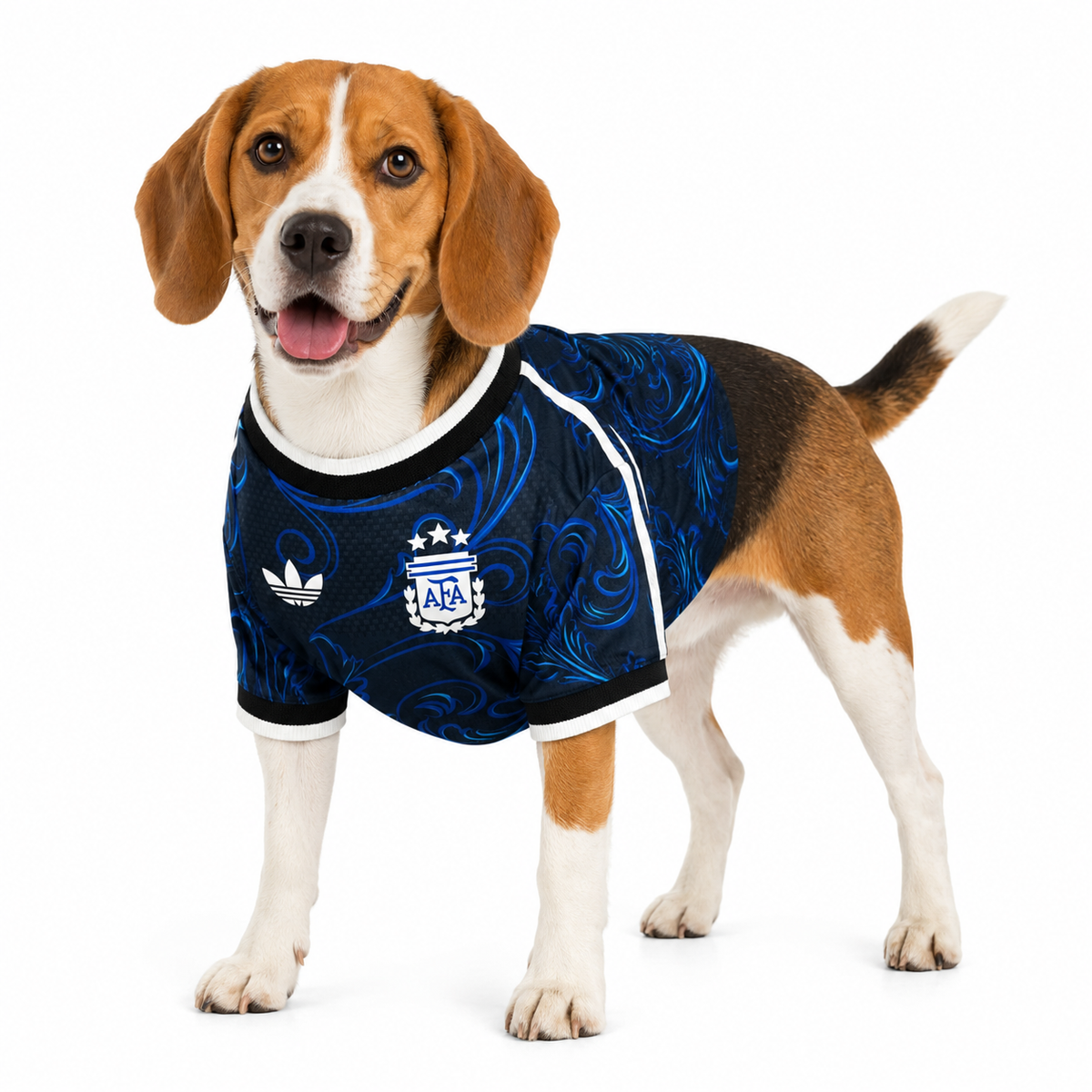 Camiseta Argentina Pet 26 Visitante