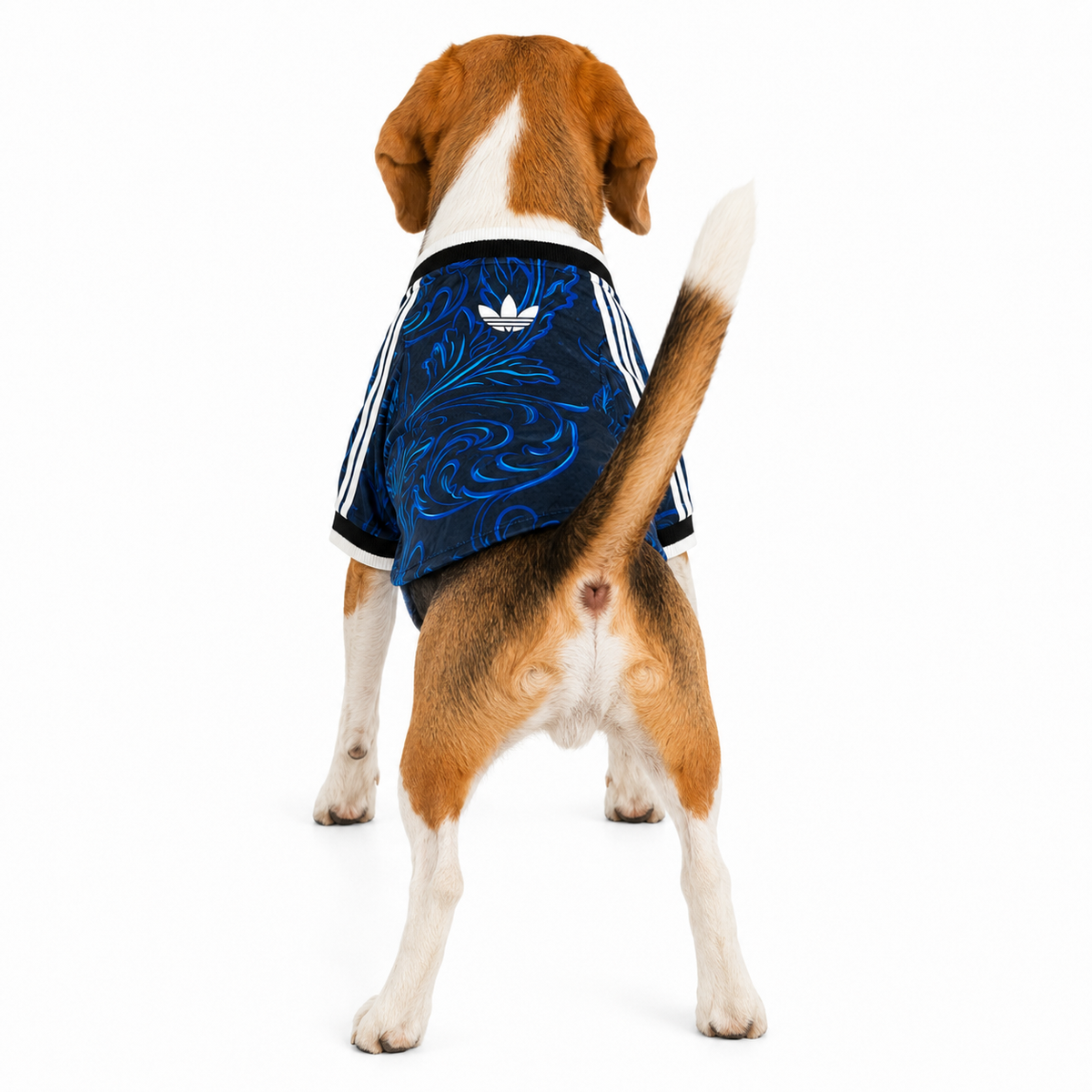 Camiseta Argentina Pet 26 Visitante