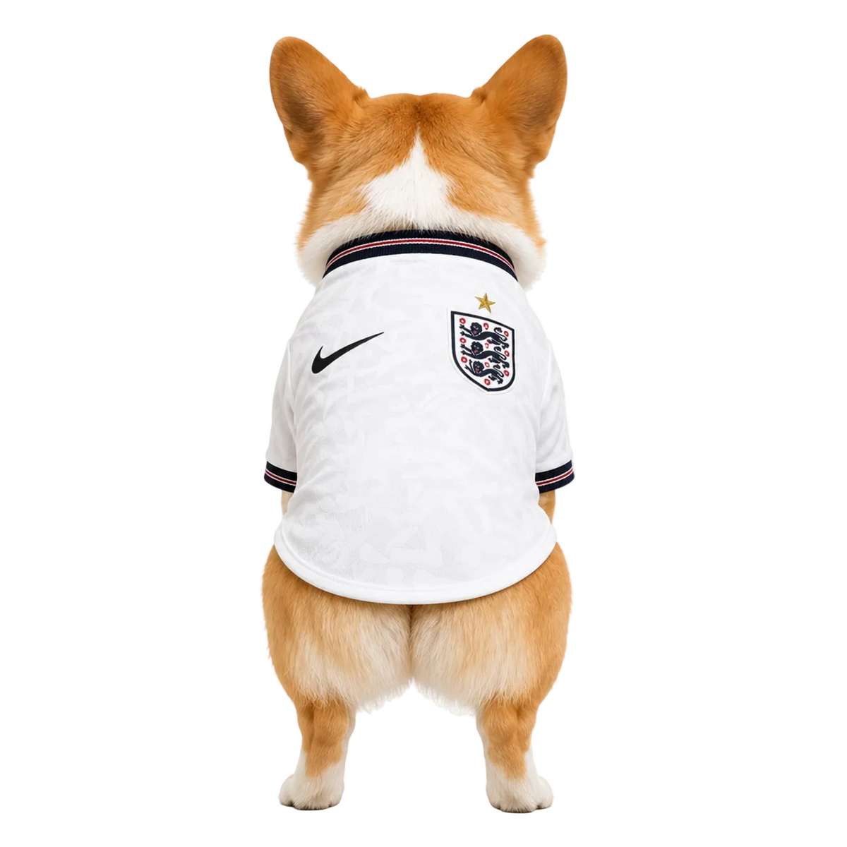 Camiseta England Pet 26