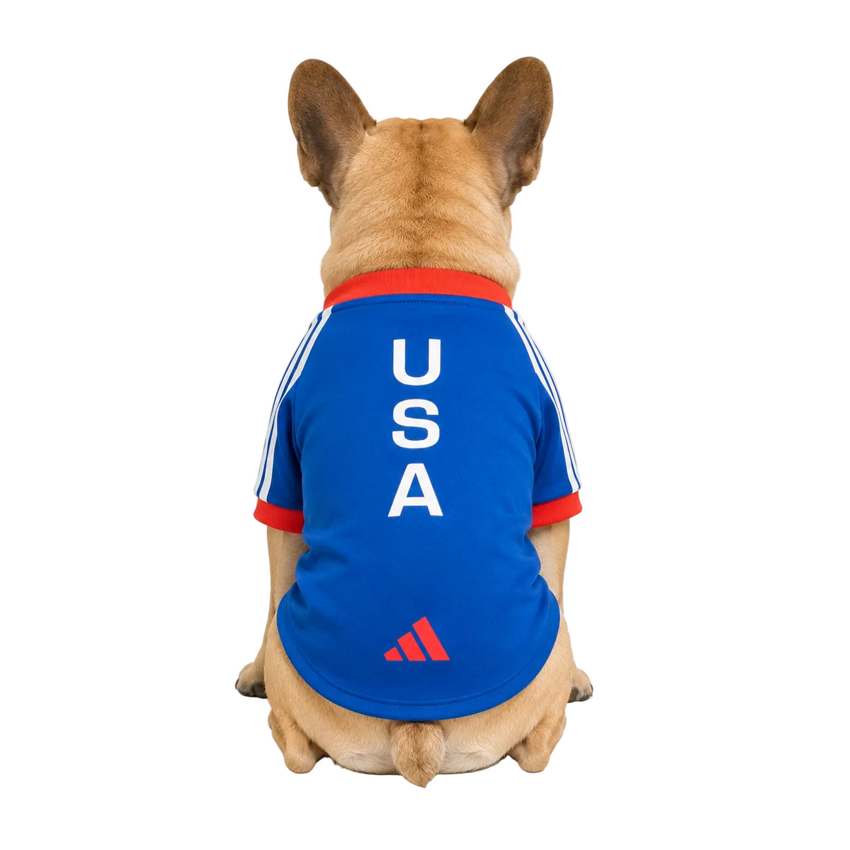 Camiseta United States Pet 26