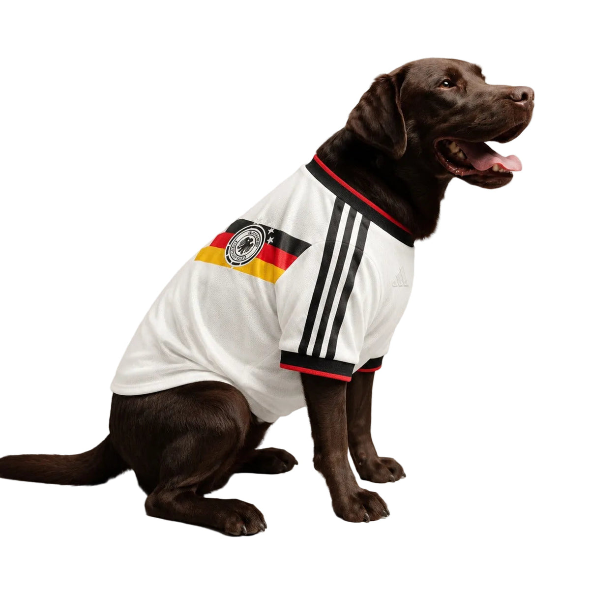 Camiseta Germany Pet 26