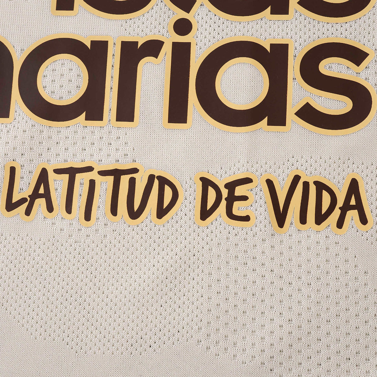 Camiseta Ias Palmas II 25/26 Hombre