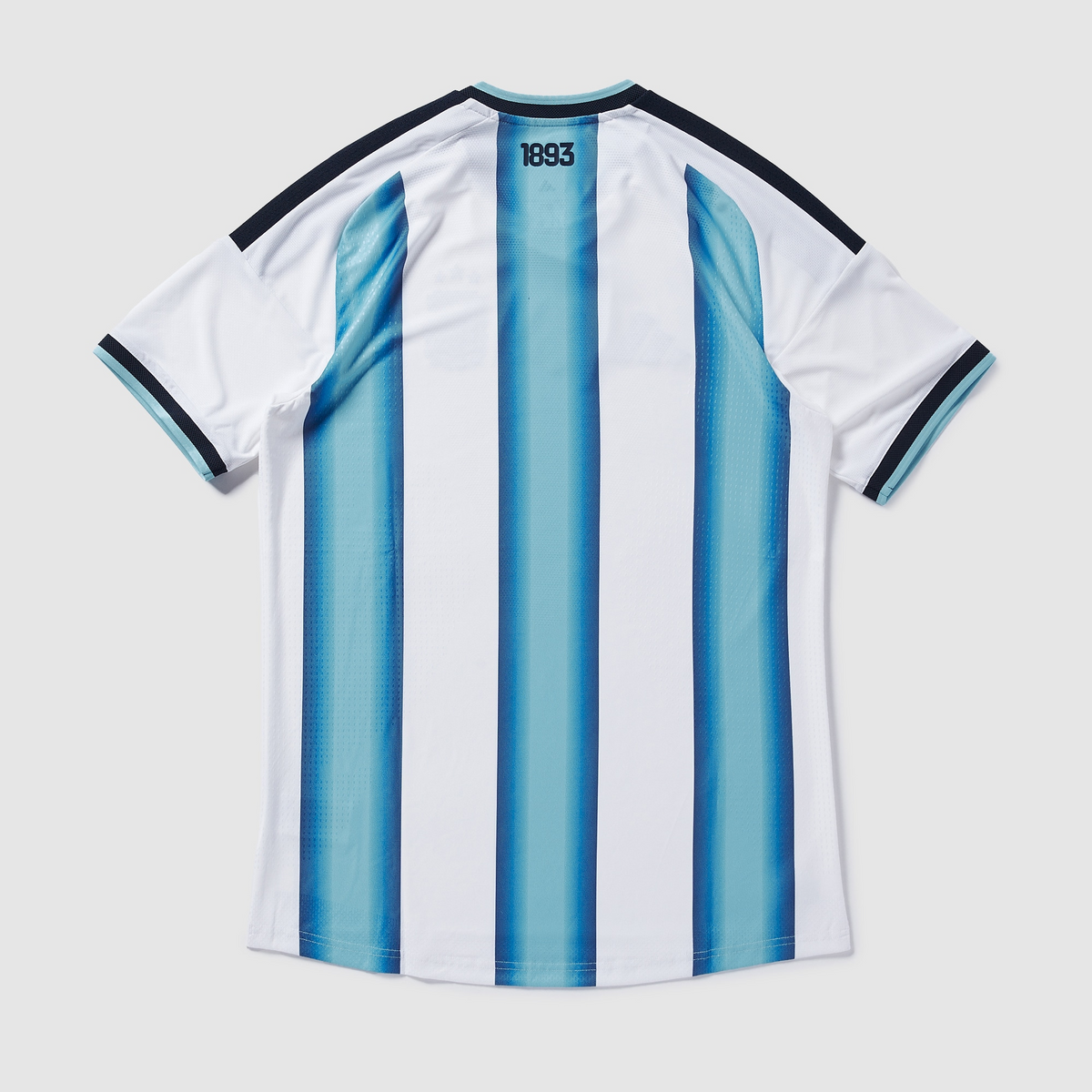 Camiseta Argentina 26/27 Titular Embroidered Player