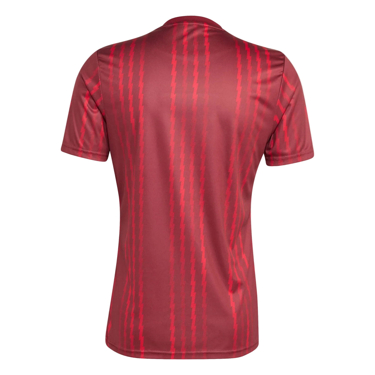 Camiseta Arsenal 25/26 Pre-Match