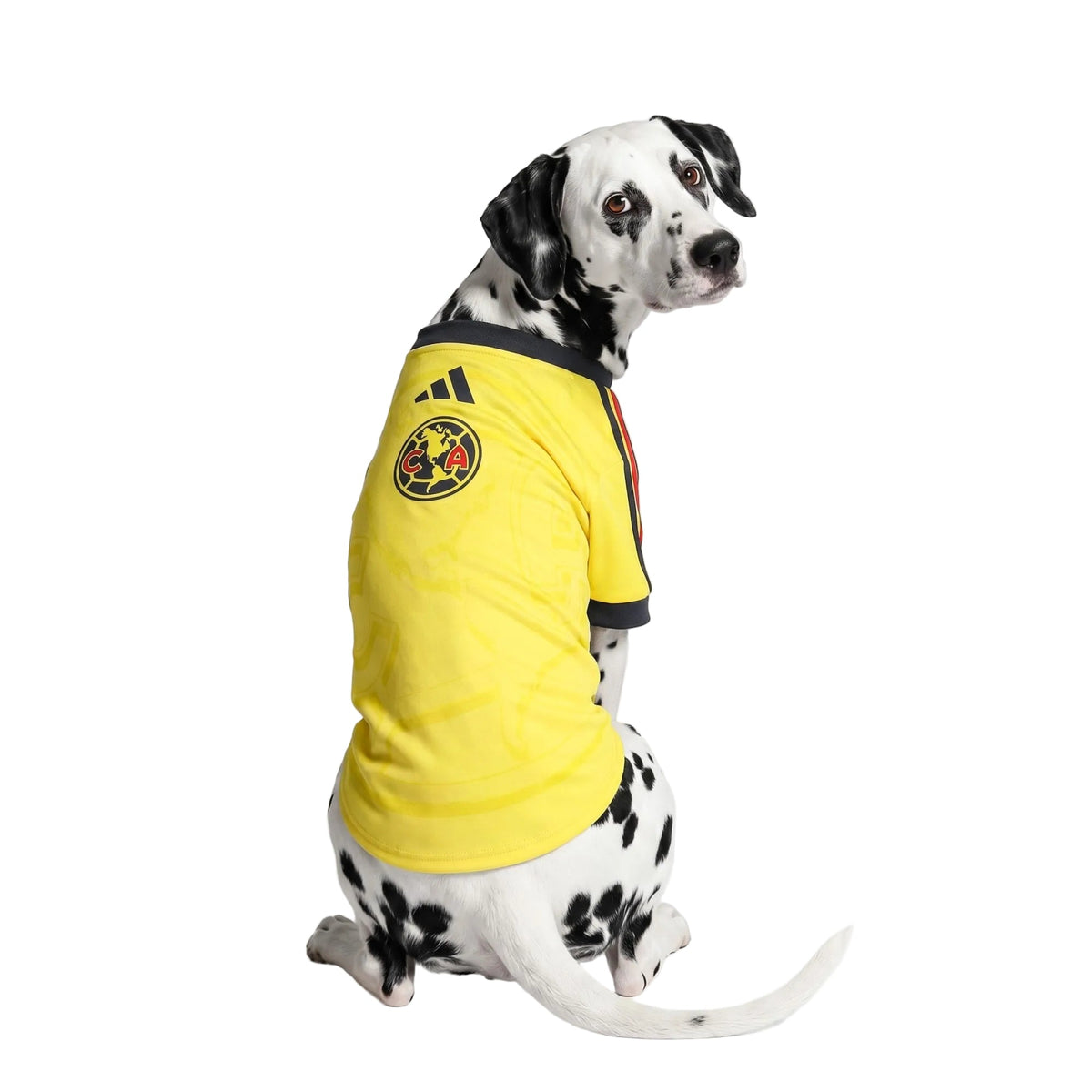 Camiseta Club America Pet 26/27