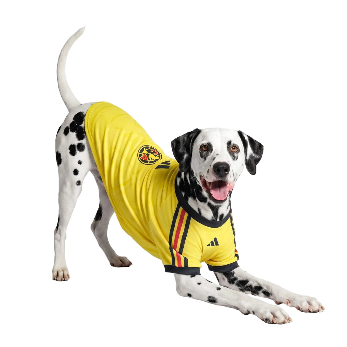 Camiseta Club America Pet 26/27