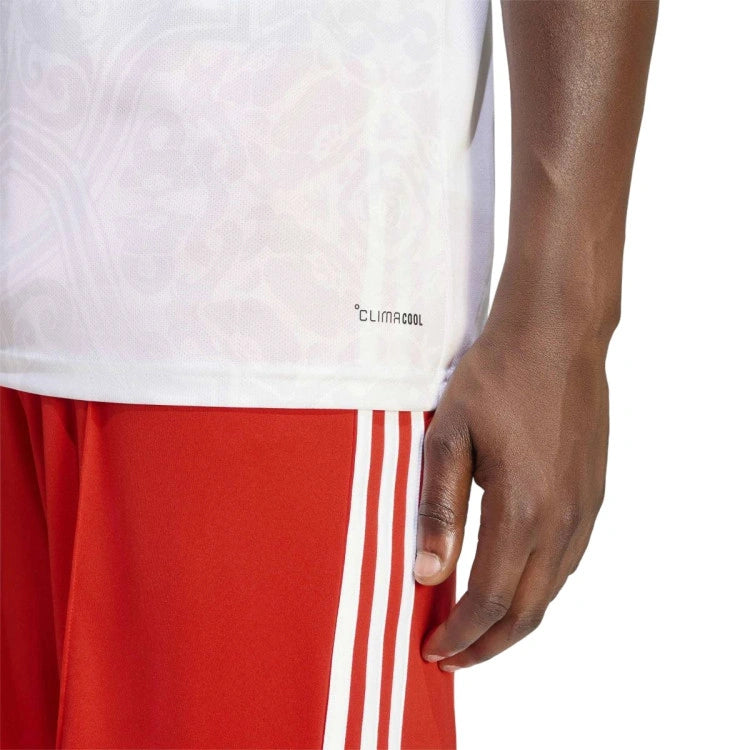 Camiseta Benfica Visitante 2026/27 - Versión Fan