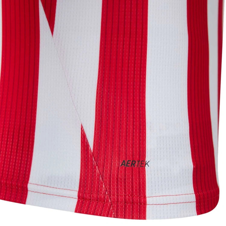 Camiseta Athletic Bilbao Titular 2026/27 - Versión Jugador