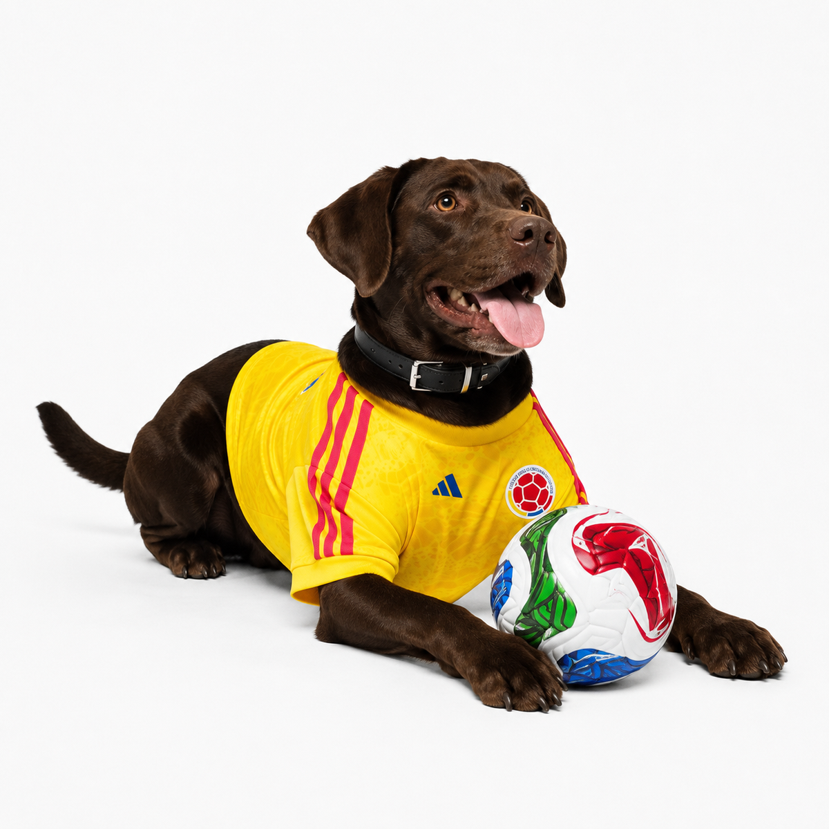 Camiseta Colombia Pet 26