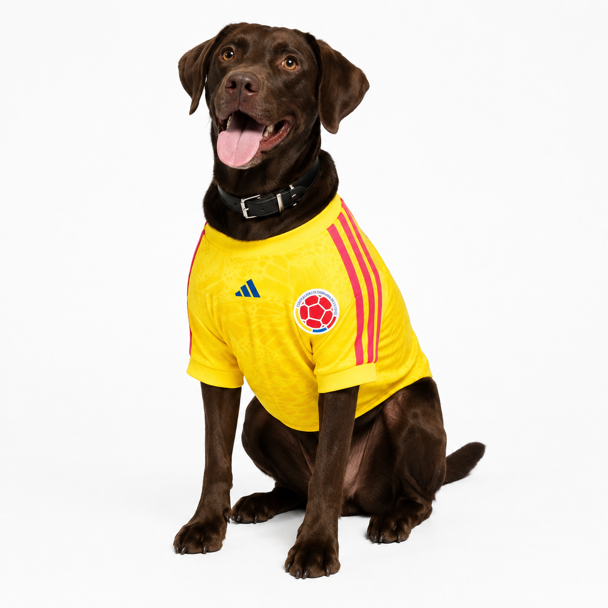 Camiseta Colombia Pet 26
