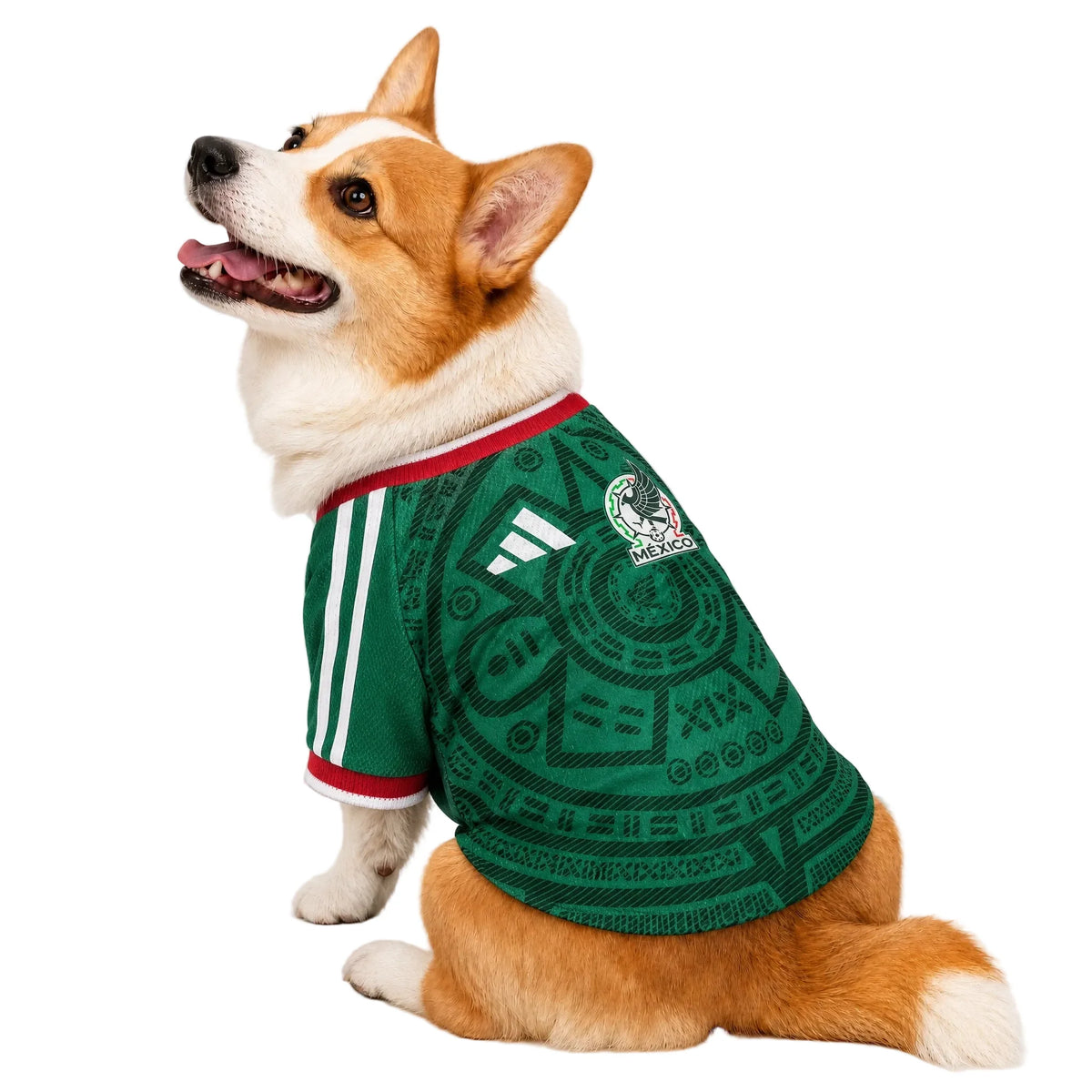 Camiseta Mexico Pet 26